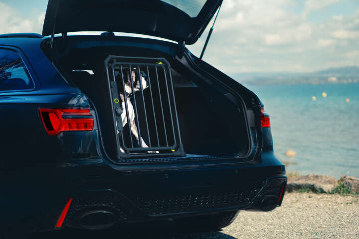 4pets Hundetransportbox Pro Noir